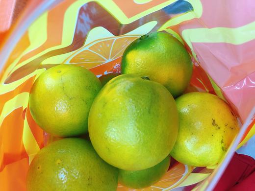 阳光橙一袋（拼团） 商品图1