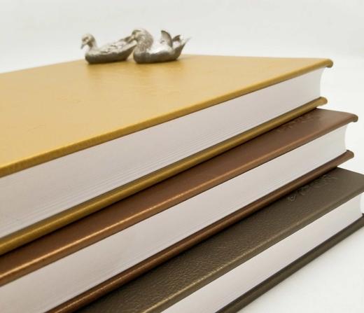 《世界居住艺术百科》，皮面精装，全3册，16开铜版彩印，家居主张编辑部，上海辞书出版社2011年一版一印，定价960，售价318元 商品图3