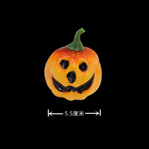 单加1个芭比南瓜（直径约5.5厘米）加在产品里单拍不卖 商品图0