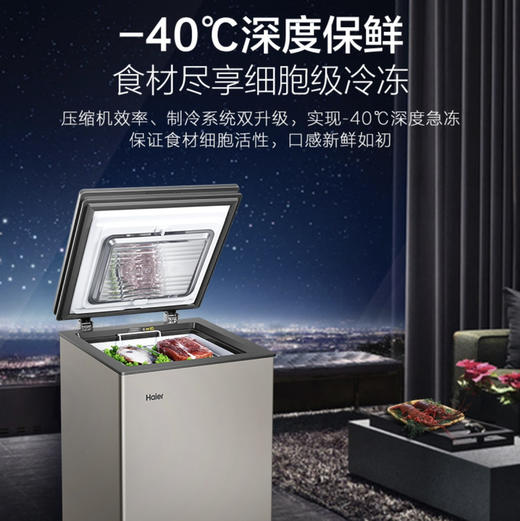 海尔（Haier）冰柜 BC/BD-100HER 商品图1