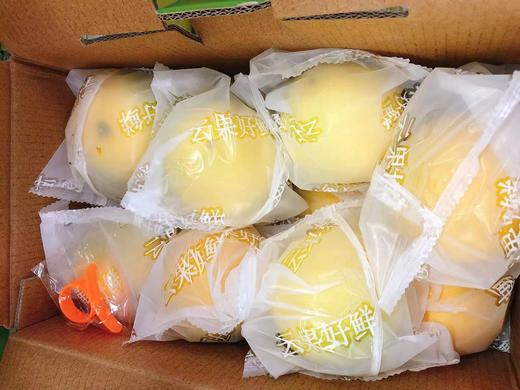 冰糖橙一箱（拼团） 商品图2