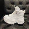 LFGJ 14633 时尚高帮厚底，百搭短靴 商品缩略图1