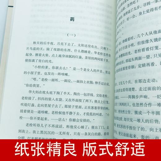 (仓发) 鲁迅文集（全八册）/中国华侨出版社/鲁迅/978751136396101 商品图4