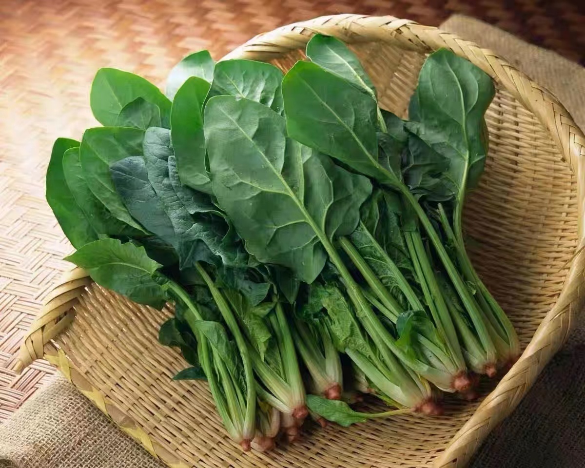 菠菜 480g-520g