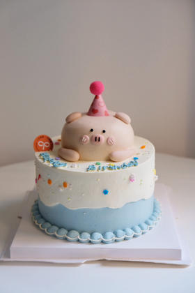 一只猪猪的生日