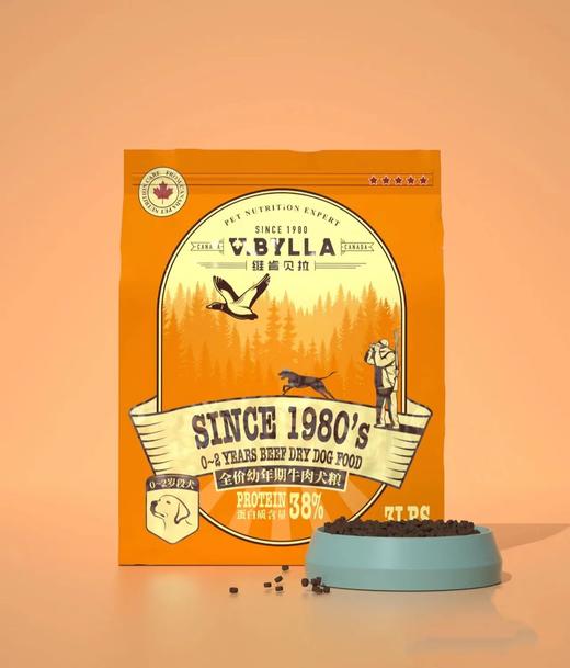 维肯贝拉狗粮系列 商品图3