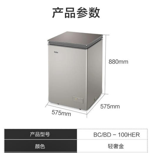 海尔（Haier）冰柜 BC/BD-100HER 商品图9