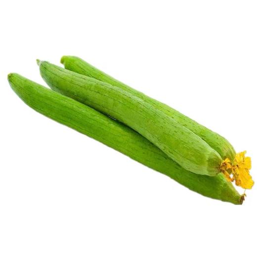 丝瓜 480g-520g 商品图1