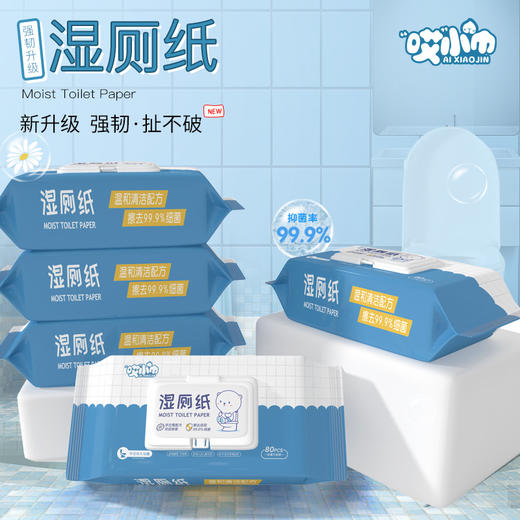 抑菌湿厕纸 商品图0