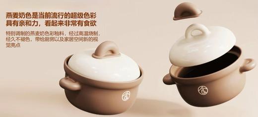 苏泊尔4.5升容量养生煲TB45UA1 商品图2