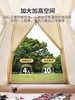 Sunnyfeel山扉 3秒速搭户外全自动露营帐篷、便携折叠夜营野营野餐装备 商品缩略图2