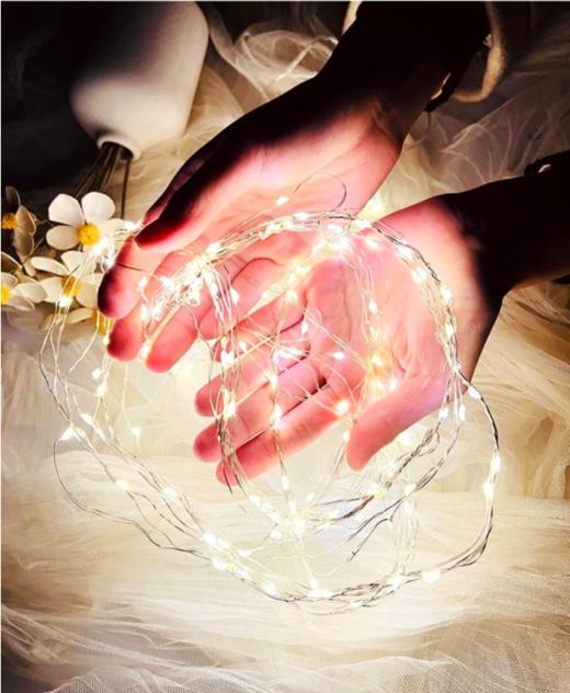 单加1条2米长的灯（带开关内置纽扣电池）加在产品里单拍不卖 商品图0