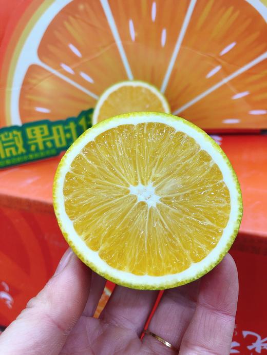 阳光橙一袋（拼团） 商品图4