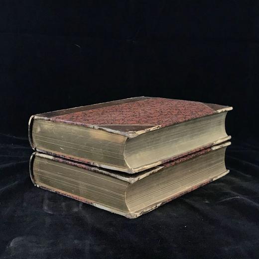1884年 钱伯斯英国文学百科全书（全2卷） 12页版画肖像插图 真皮精装16开 商品图1
