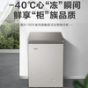 海尔（Haier）冰柜 BC/BD-100HER 商品缩略图0