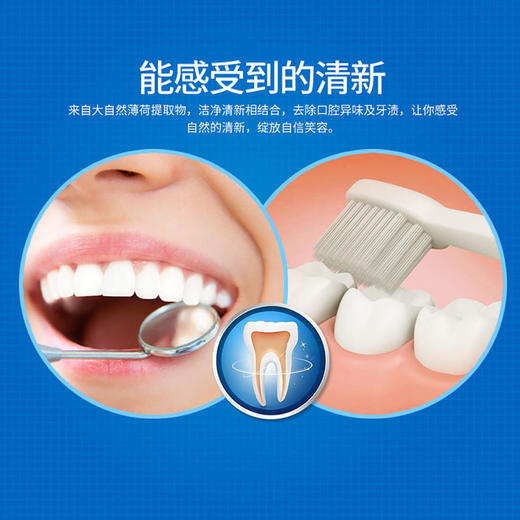 泊泉雅清新皓爽牙膏薄荷留兰香护牙龈牙膏口腔去牙渍清洁护理 商品图1