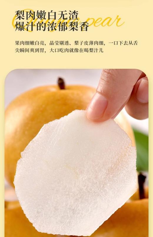正宗山东莱阳秋月梨新鲜爆汁冰糖梨 商品图2