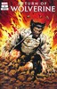 金刚狼归来 主刊 Return Of Wolverine（2018）普封 商品缩略图10