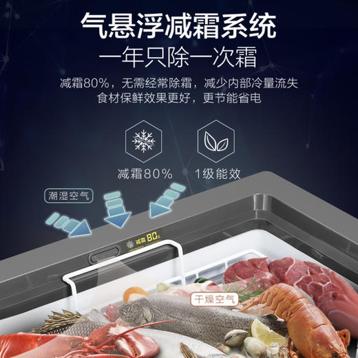 海尔（Haier）冰柜 BC/BD-100HER 商品图4