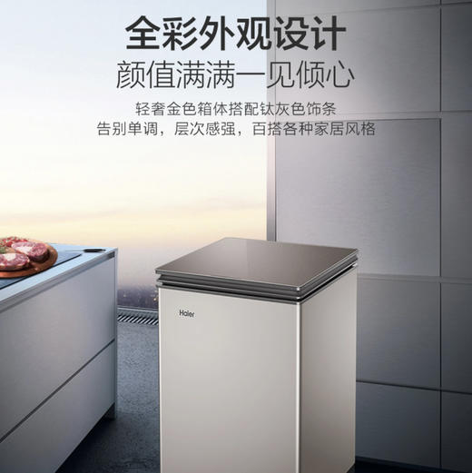 海尔（Haier）冰柜 BC/BD-100HER 商品图7