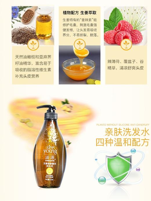 滋源洗发水535ml 商品图1