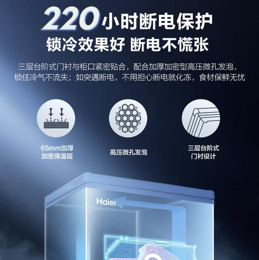 海尔（Haier）冰柜 BC/BD-143HTD 商品图5