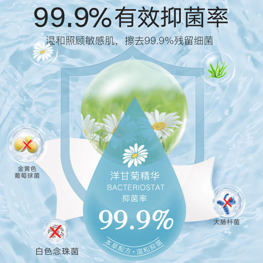 抑菌湿厕纸 商品图2