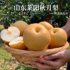 正宗山东莱阳秋月梨新鲜爆汁冰糖梨