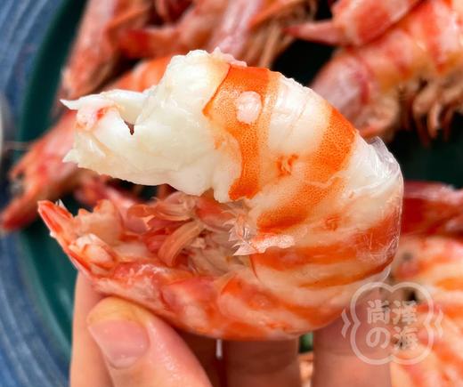 舟山野生船冻竹节虾 商品图5