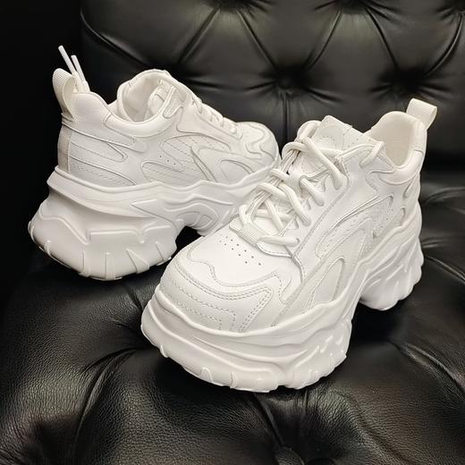 LFGJ  14625 时尚厚底增高显瘦老爹鞋 商品图6