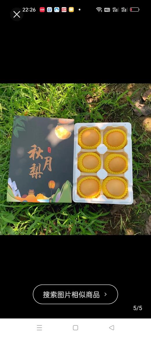 正宗山东莱阳秋月梨新鲜爆汁冰糖梨 商品图3