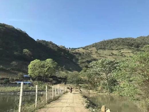 生态牛肉干巴 | 接单现做 1周内发货 | 精选黄牛肉 | 纯手工炭火制作 嚼劲十足 | 基地直发包邮 * Ecological Beef Jerky 商品图8