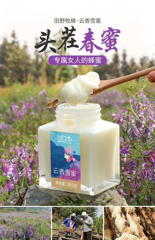 田野牧蜂  云香雪蜜 头茬原蜜 高原蜂场直采365g 商品图0