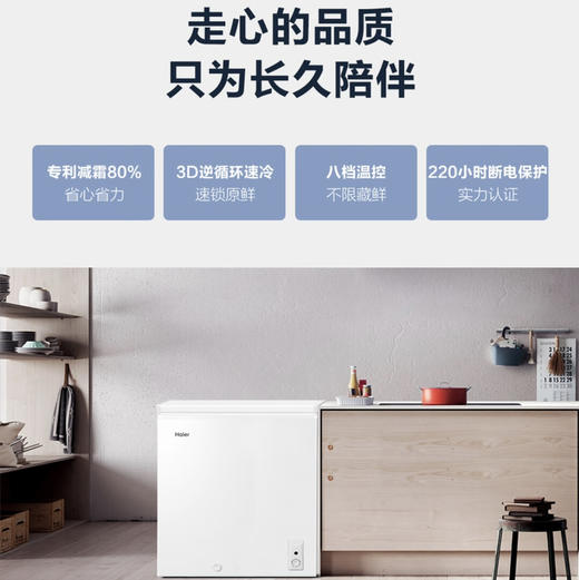 海尔（Haier）冰柜 BC/BD-143HTD 商品图8