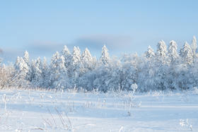 测一测，你体内“寒湿”重不重？