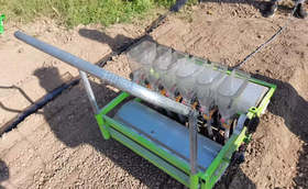 年后种葱可行吗?什么时候播种合适?