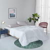 LOVO美柔抗菌被（英威达）春 VQF2020-3 200*230cm 商品缩略图0