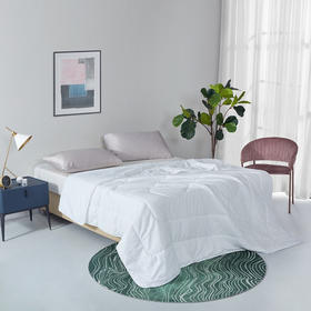 LOVO美柔抗菌被（英威达）春 VQF2020-3 200*230cm