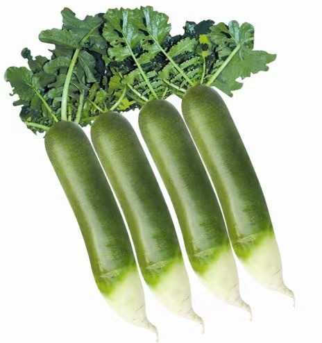 青萝卜（生鲜类商品当日取货，过期按取货日价格）