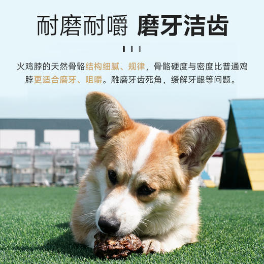 麦富迪零食洁齿骨磨牙棒风干火鸡脖耐磨耐鸡胸肉训犬宠物小型犬 商品图2