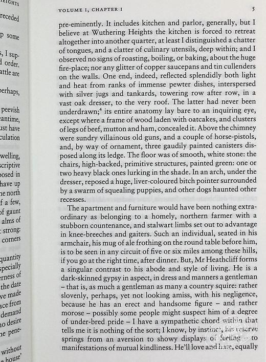 预售 【中商原版】呼啸山庄 Wuthering Heights 英文原版 Emily Bronte Lucasta 商品图7