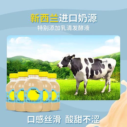 【常山县】柚香谷双柚乳酸风味饮料 日本香柚+常山胡柚 商品图2