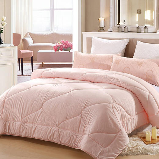 LOVO 云尚亲肤被 VQF2010-1 200*230cm 商品图0