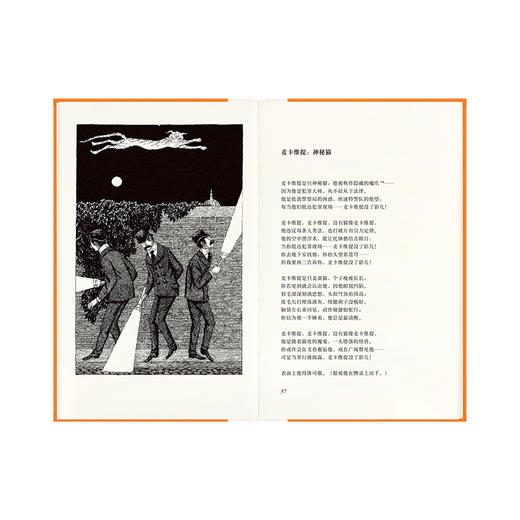 《老负鼠的实用猫经》 商品图3