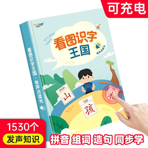 (仓发) 会说话的看图识字大王点读发声书 宝宝婴幼儿童学前早教启蒙有声绘本故事书汉字拼音识字卡片读物/69218245508206921824550820 商品图0
