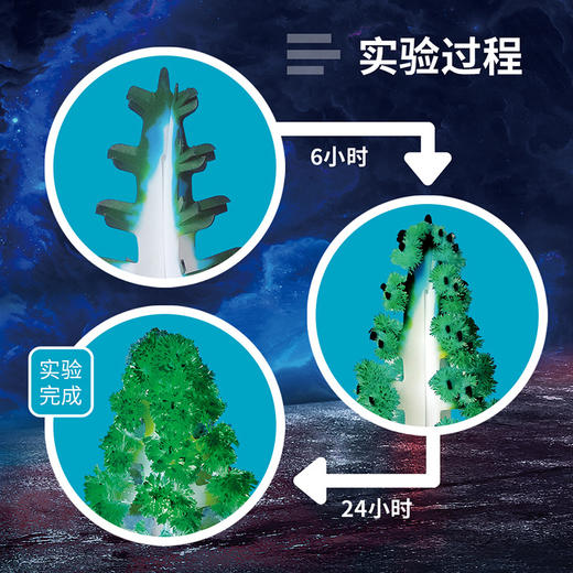 托思奇魔法圣诞树纸树开花儿童科学diy实验玩具圣诞节礼物 商品图5
