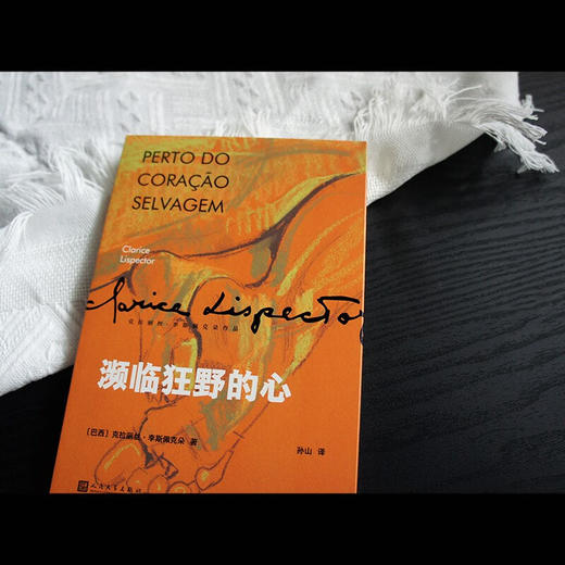 濒临狂野的心 克拉丽丝·李斯佩克朵作品集 克拉丽丝·李斯佩克朵 著 小说 商品图1