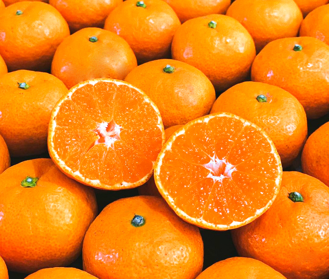 浙江台州涌泉蜜桔无核橘子新鲜薄皮黄岩桔子5斤10斤砂糖当季整箱水果