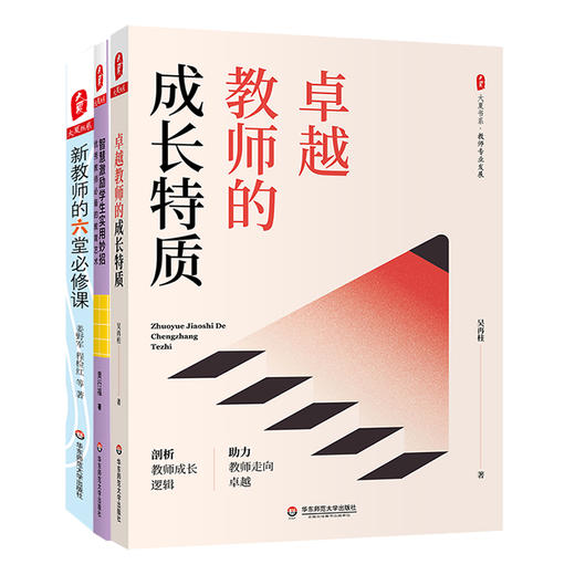 卓越教师成长系列3册 大夏书系 教师发展 新教师的六堂必修课+智慧激励学生实用妙招+卓越教师的成长特质 商品图1