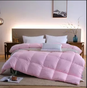 P-（买一送二）羽绒被95白鹅绒春秋被五星级酒店被芯加厚冬被